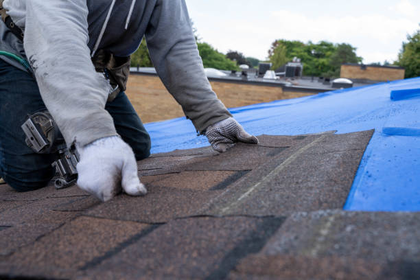 Best Metal Roofing Contractor  in New Stanton, PA